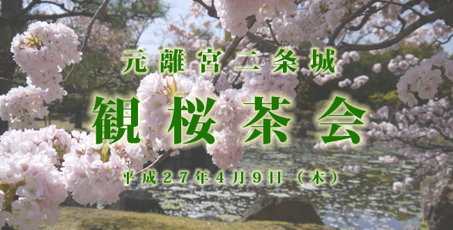 二条城の観桜茶会|京都三条会商店街の周辺情報